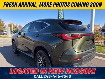 2023 Lexus NX 350h Base