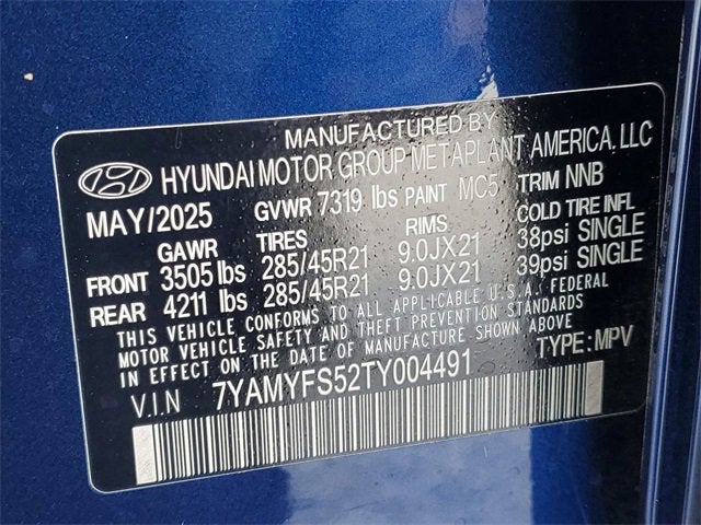 2026 Hyundai IONIQ 9 Performance Calligraphy