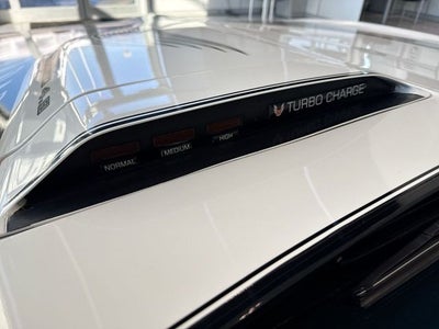 1981 Pontiac Firebird Trans Am