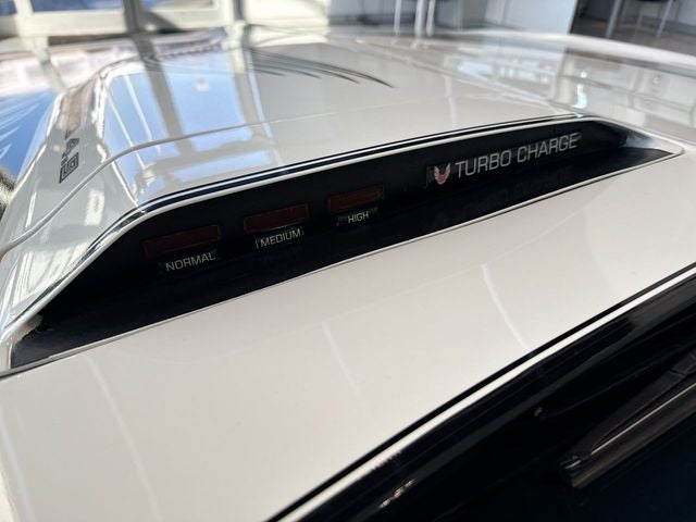 1981 Pontiac Firebird Trans Am