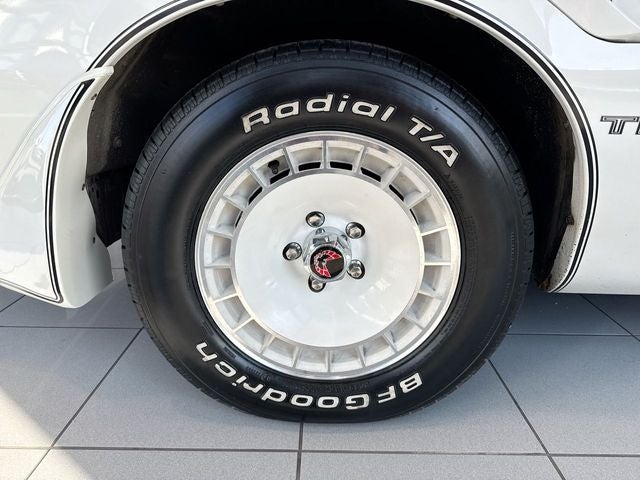 1981 Pontiac Firebird Trans Am