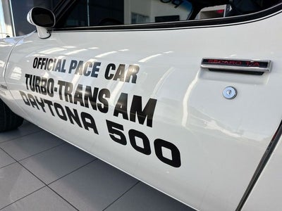 1981 Pontiac Firebird Trans Am