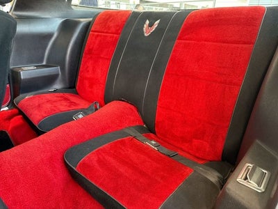 1981 Pontiac Firebird Trans Am