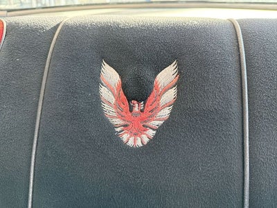 1981 Pontiac Firebird Trans Am