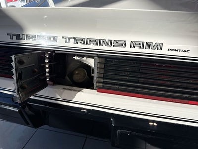 1981 Pontiac Firebird Trans Am