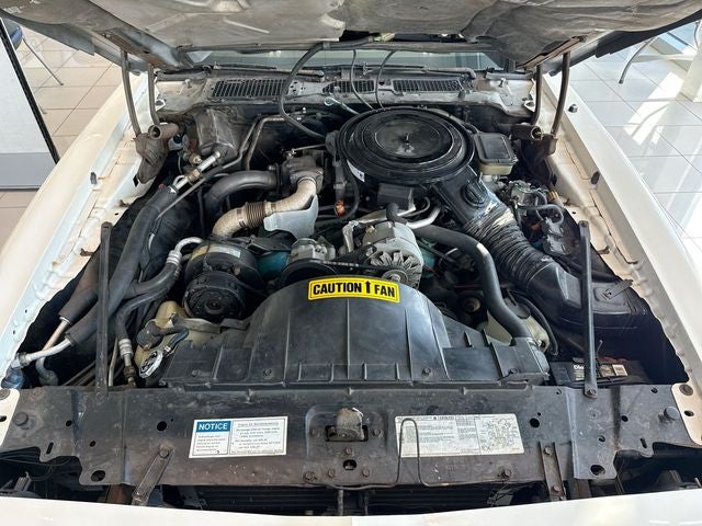 1981 Pontiac Firebird Trans Am