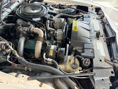 1981 Pontiac Firebird Trans Am