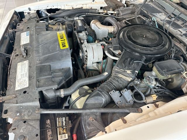 1981 Pontiac Firebird Trans Am