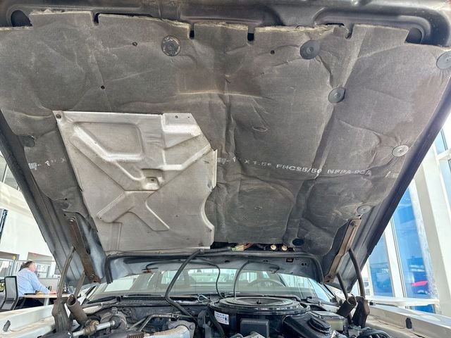 1981 Pontiac Firebird Trans Am