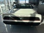 1981 Pontiac Firebird Trans Am