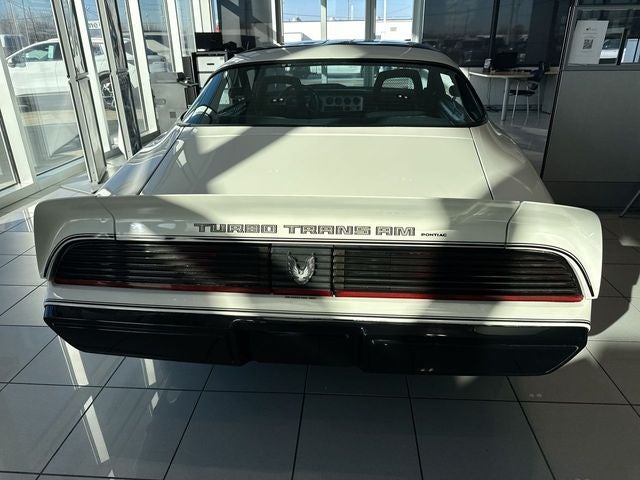 1981 Pontiac Firebird Trans Am