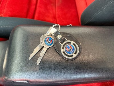 1981 Pontiac Firebird Trans Am