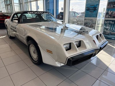 1981 Pontiac Firebird Trans Am