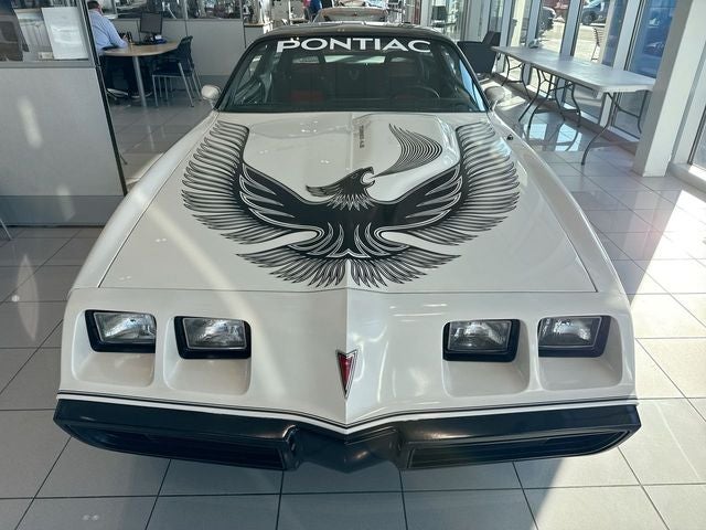 1981 Pontiac Firebird Trans Am