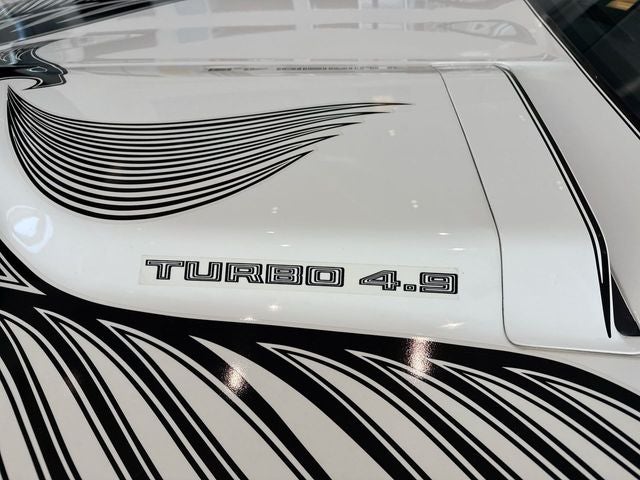 1981 Pontiac Firebird Trans Am