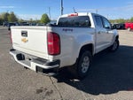2019 Chevrolet Colorado 4WD Work Truck