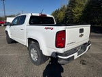 2019 Chevrolet Colorado 4WD Work Truck