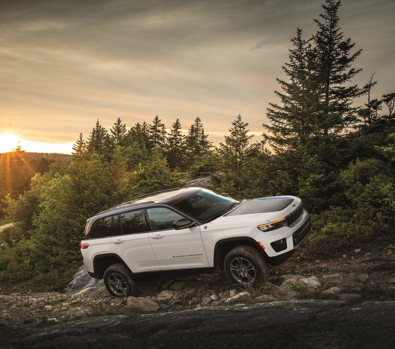 Jeep Grand Cherokee for Sale in Woodhaven MI